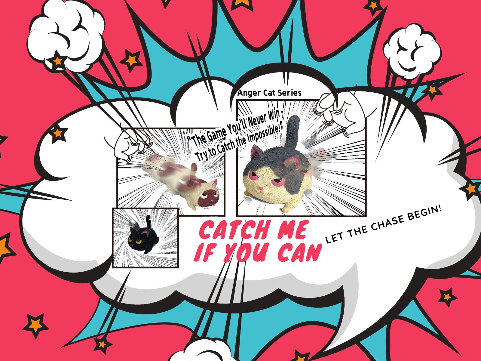 angry cat_slide_02