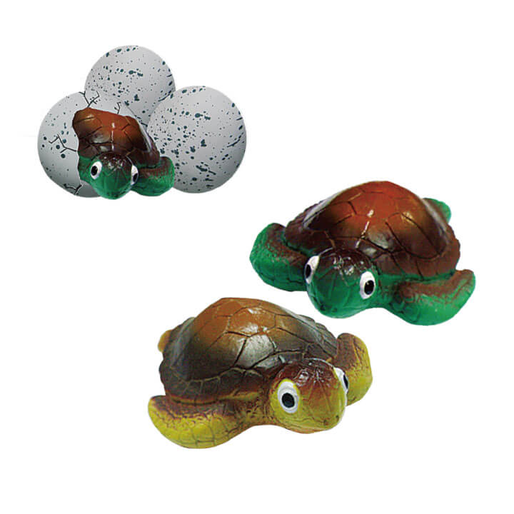 Hatching Round Egg Turtle FY011-7M08D