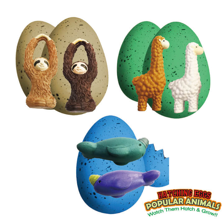 Hatching Egg Llama Narwhal Sloth Series FY5-F065 - FOLUCK-Novelty toys