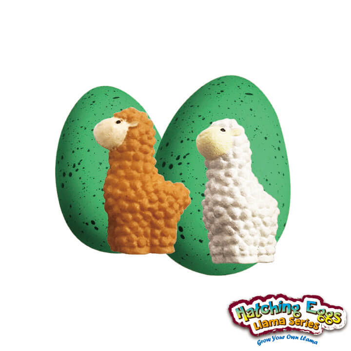 Set of 6 Grow Your Own Animal Hatching Novelty Eggs 