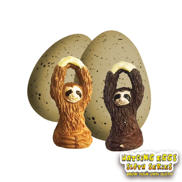 Hatching Egg Sloth Series 6cm Egg Toy FY5-F068