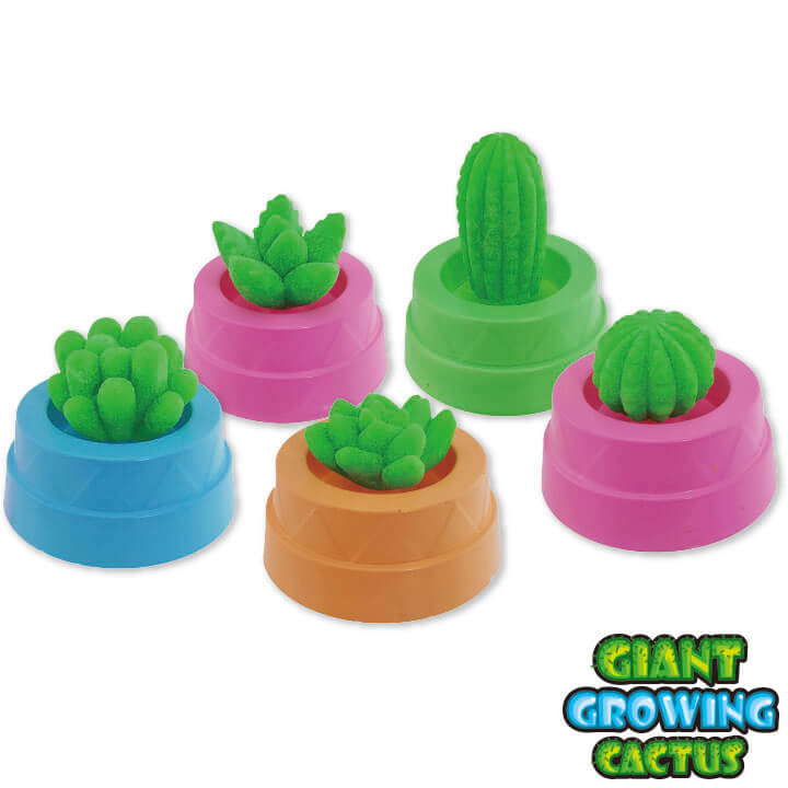 Giant Growing Cactus FY5-F115-B