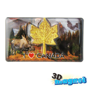 3D Epoxy Magnet Canada Series FY8-F027-B