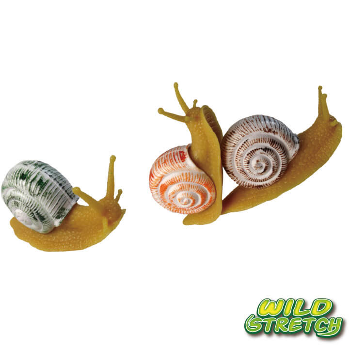 Wild Stretch Snail Series Stretchy Toy Y5-F566