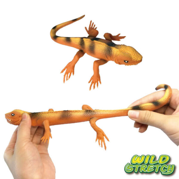 Wild Stretch Large Lizard Series Stretchy Toy Y5F571 FOLUCKNovelty toys