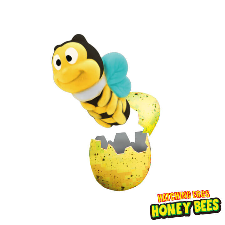 Growing Egg Honey Bees Y5-F683