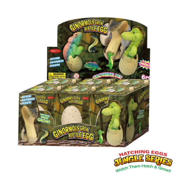 Hatching Eggs Jungle series Y5F857 FOLUCKNovelty toys