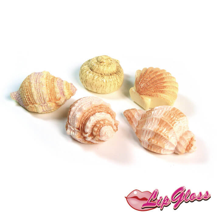 Lip Gloss-Seashell Y8-F584