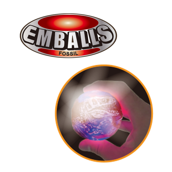 Emballs Flash Bouncing Ball Dinosaur Fossil Series Ball FY5-F192-A