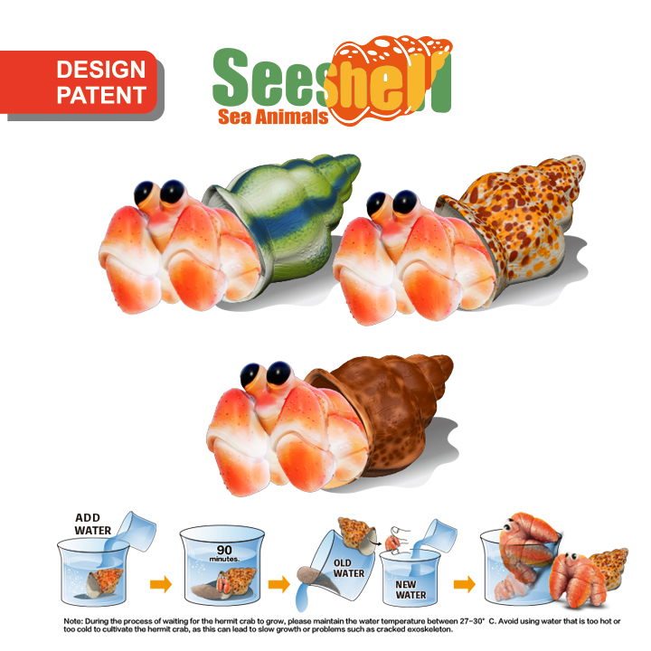 Seeshell Growing Toy Hermit Crabs Series Y5-F665-1